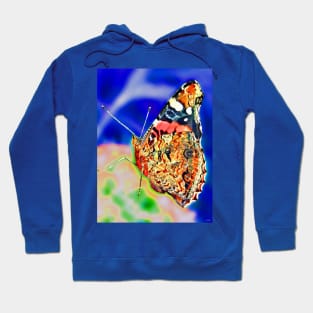 Red Admiral Butterfly Hoodie